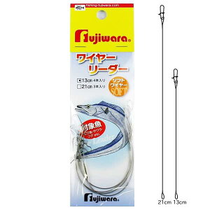 tW(Fujiwara) C[[_[ 21cm