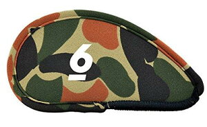 Cg(LITE)ACAK[hlI Pi  6 H-111(106)