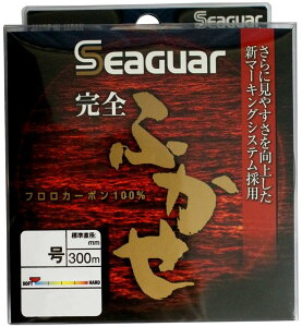 V[K[(Seaguar) C V[K[ StJZ 300m 6 