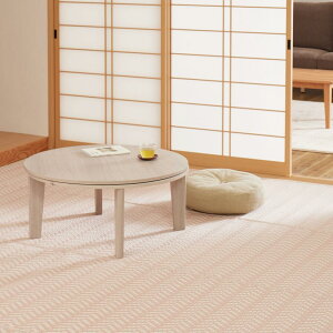  􂦂 J[ybg sN ]ˊ3 174X261cm pXbV O Ԃ q ybg ی pXeJ[