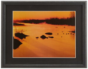 FUJICOLOR z YM-3 B 4 ؐ ubN 63362