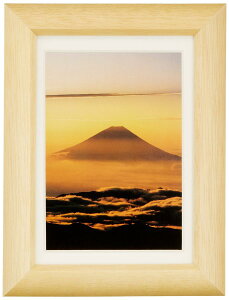 FUJICOLOR �z�� �f�W�t�H�g�t���[��D3 �i�`������ �n�K�L �ؐ� �x�[�W�� 66714