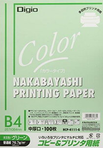 iJoV Rs[p J[^Cv 100 B4 O[ HCP-4111-G