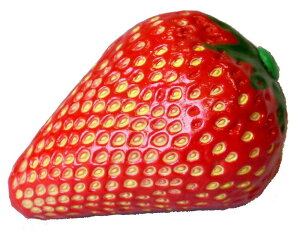 PLAY WOOD vCEbh VFCJ[ C`S FS-STB