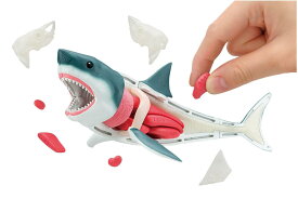 メガハウス(megahouse) 解体パズル ホホジロザメ 6才以上
