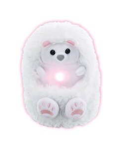 nslbg(Happinet) ȂłȂŃNIn[gt?ӂ肵낭