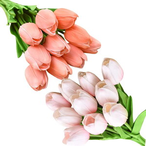 morytrade `[bv  20{Zbg {ŉ؂₩ CeA Mtg ԑ