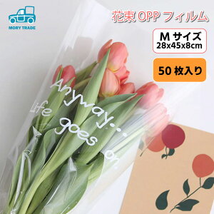 yLTCY 50zbsO  ԑ ؂ u[P   Mtg Op OPP   Mtg Ǝ ʉ NA[ rj[ OPP  