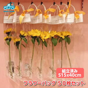 y50Zbgzt[obO bsO STCY 15x40cm  Mtg Cxg   ^   gς  v[g ̓ a o^C Ԃ Ǝ 