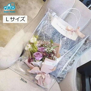 t[obO 10g 3TCY   ԑ ^ bsOobO    v[g Mtg Ǝ ʉ NA[ rj[ OPP   ؓ h NAobO 