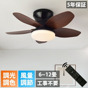 y5Nۏ؁zV[Ot@Cg  5H @ k t] t@ V[Ot@ 8 10 12 V䃉Cg@ Vt@Cg Rt DC[^[ LEDV[O