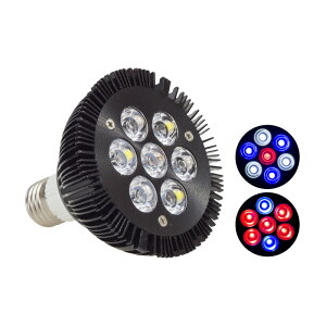 ANAE Cg LED  Ɩ 21W 7LED d^ E26 E27 \PbgΉ 95mm×95mm Mы    CeA Ϗܗp  yΉ
