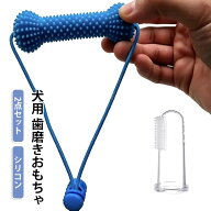【2点セット】 噛むだけ 歯磨き 歯磨きサポートトイ 歯垢対策 ペット用歯ブラシ デンタルケアスティック …