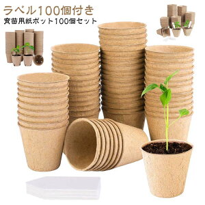 yc|bg100+x100z  K[fjO Aؔ c|bg yk͔||bg Zbg Aؔ 100 DY|bg ʋCE̐݌v ܂ yc|bg100+x100z A͔| 