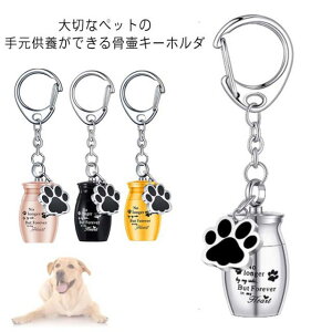 ⍜ L[z_[ ANZT[ ⍜y_g ybg ⍜y_g   ⍜ L  ~j D ybg⍜L[z_[ L[z_[ pi Pbg g 