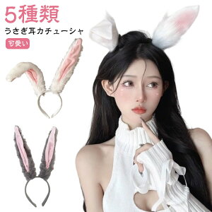 nEB ӂӂ wAoh  Cxg J`[V LbY l RXv  p[eB[  J`[V wAANZT[