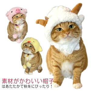 ybg  L Xq ~   Xq }WbNe[v  tȒP r  { ybgEGA hbOEGA ^ sN zCg h΍ U ybgEFA hbO EFA ӂ