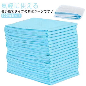 hV[c  ĝ 100 zc ĝ ˂V[c 60×90cm AR pV[c ~pbh hpbh ˂΍ zV[g hV[c pi h~ 唻TCY 
