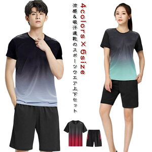 �X�|�[�c�E�G�A �����Y �㉺�Z�b�g T�V���c �Z�b�g�A�b�v ���� ���[���E�F�A �ڐG�⊴ ���� �����V���c �V���[�g�p���c �n�[�t�p���c �X�|�[�c ���� �h���C �⊴ �ʋC�� �y�� �X�g���b�` ��