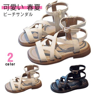 LbY T_ ̎q r[`T_ q C t   w  16-23cm   wZ ct ۈ牀 r[T AEghA JWA ][g s