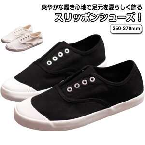 Y Xb|V[Y LpXV[Y LoXXj[J[ [Jbg Xb| amC tH  Xj[J[ hCrO ₷ ~ y Xj[J[ jp n 