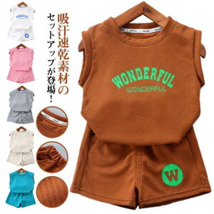 LbY X|[cEFA ㉺Zbg q TVc m[X[u ^Ngbv V[gpc n[tpc  g[jOEFA ZbgAbv qǂ ǂ ʋC j̎q xr[ c