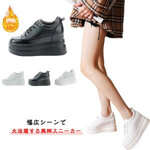 r Xj[J[ fB[X V[Y _bhXj[J[ Xj[J[ y IV 9cm h  r C Ȃ ₷ ꂢ Cq[Xj[J[  V[Y 