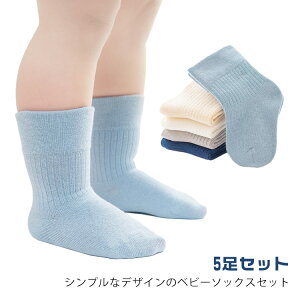 xr[C 5Zbg N[\bNX N[V[g xr[ LbY qǂ  qC 5g  n tH q qpC Ԃ Xgb` j̎q ̎q C 