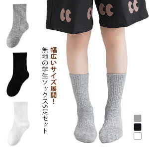 qC n \bNX 5Zbg N[@XN[\bNX n  C q   D XN[C Ȃ ʋC LbY xr[ j̎q ̎q qǂ WjA w w Z