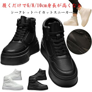 V[NbgV[Y Xj[J[ Y Ȃ 6cmAbv 8cm 10cm nCJbg Xj[J[ zCg ubN V[NbgXj[J[ gAbv Cq[ Xj[J[ C 