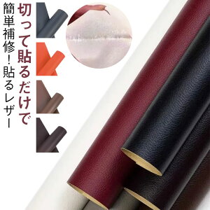 CV[g \邾 CV[g V[g C SV[g 50×100cm C \邾 ڒV[  \郌U[ CX  U[ V[ \郌U[n  ڒV[ n v 