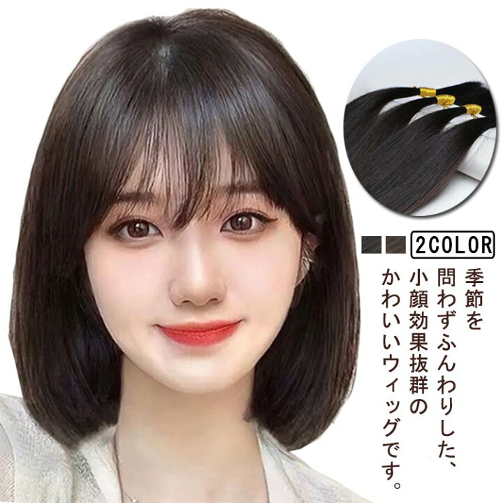 楽天市場】人毛100% フルウィッグ ミディアム 自然黒 自然茶 フル  