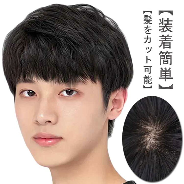 楽天市場】ショート 人毛100％ メンズ フルウィッグ 自然 黒髪 かつら 