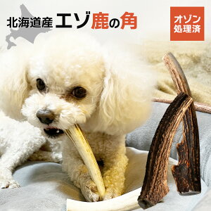 S̃I]ĤᎭ̊p ڈΎkCY10`25cm^`^p f^PA    Êݖh~ av[g ̂hbOK L