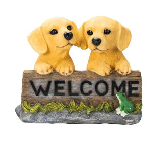 EFJ{[hhbN go[ I[ig@u @  ֐ CeA G K[fjO K[fjOG K[f K[fG