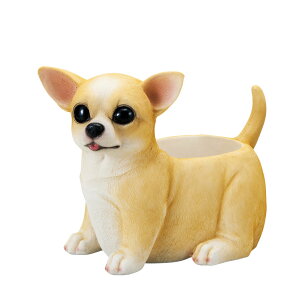 hbNv^[ R[M[ I[ig@u @  ֐ CeA G K[fjO K[fjOG K[f K[fG