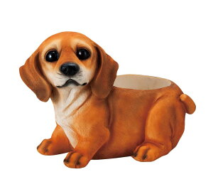 hbNv^[ _bNX I[ig@u @  ֐ CeA G K[fjO K[fjOG K[f K[fG