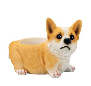 hbNv^[ R[M[ I[ig@u @  ֐ CeA G K[fjO K[fjOG K[f K[fG