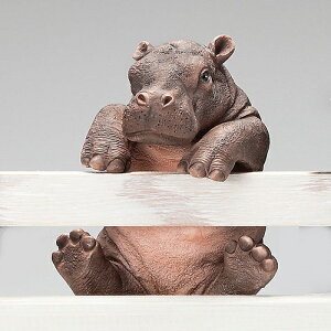 ~jnMO  u K[fG I[ig  Aj}  ֐