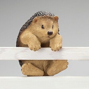 ~jnMO u nlY~ K[fG I[ig  Aj}  ֐