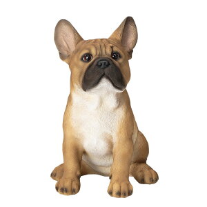 t`uhbO I[ig u    ֐ CeA G K[fjO K[fjOG K[f K[fG