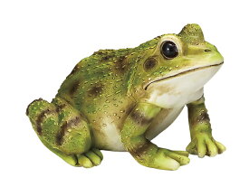 楽天市場 カエル 鳴 花 ガーデン Diy の通販 楽天市場 カエル 鳴 花 ガーデン Diy の通販