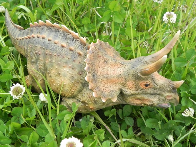 草食恐竜 贈答 往復送料無料 トリケラトプスの置物リアルな中にも 可愛い表情が魅力なダイナソーシリーズ 今までのお庭がジェラシックパークに トリケラトプス２
