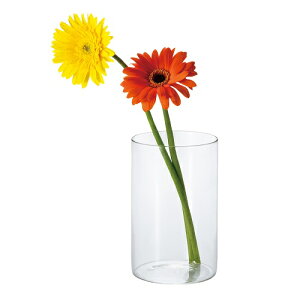 zbgKX `[u S KX ԕr t[x[X ^  NA CeA ֐ rO Q