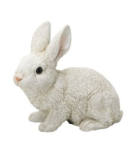 Jg[rbgLL I[ig  ETM@u@  ֐ CeA G K[fjO K[fjOG K[fG