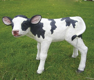  I[ig@u@  ֐ CeA G K[fjO K[fjOG K[f K[fG