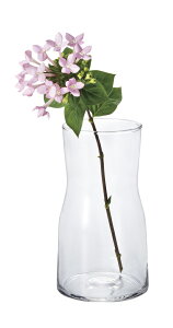 �z�b�g�K���X �X�����_ S �K���X �ԕr �t�����[�x�[�X ���^ ���� �N���A �C���e���A�� ���֐�� ���r���O�� �Q����