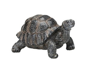 ~jJ S u K[fG I[ig ঒    ֐ CeA K[fjO K[fjOG K[fG