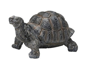 ~jJ L u K[fG I[ig ঒   ֐  K[fjO K[fjOG K[fG