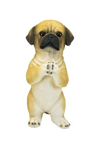 肢hbOL@pO  I[ig@u@  ֐ CeA K[f K[fG K[fjO K[fjOG